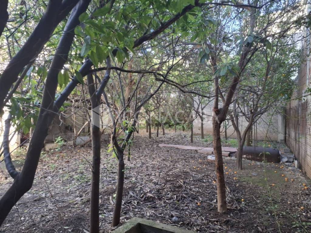 Terreno a Adelfia in Via Montello, 22 - Foto 4