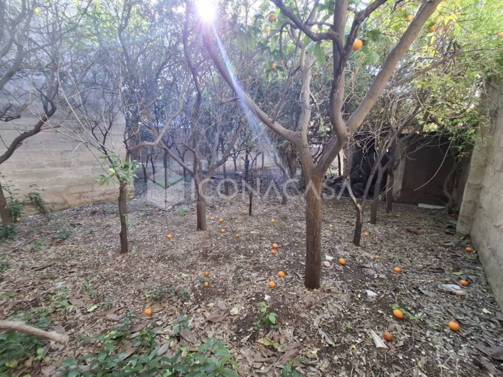 Terreno a Adelfia in Via Montello, 22 - Foto 5