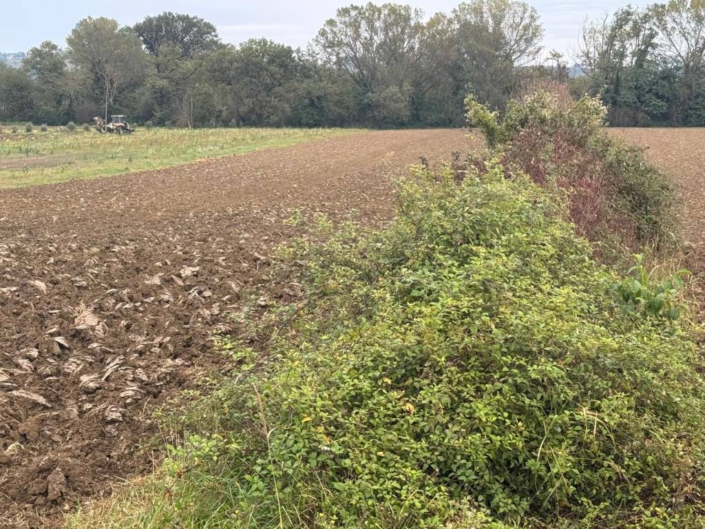 Terreno a Perugia in Via del Commercio - Foto 5