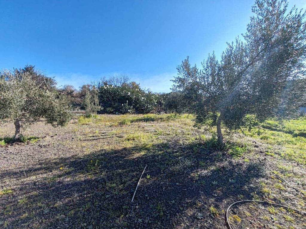 Immobile a Paternò in Porrazzo - Foto 5