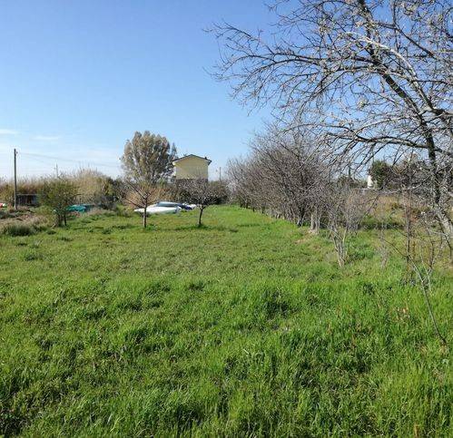 Terreno a Massarosa in Piscine - Foto 2