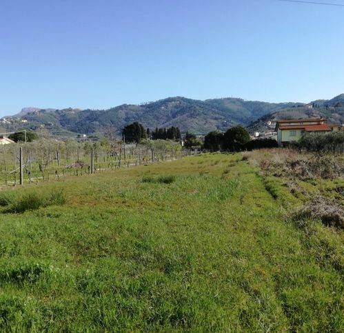 Terreno a Massarosa in Piscine - Foto 3