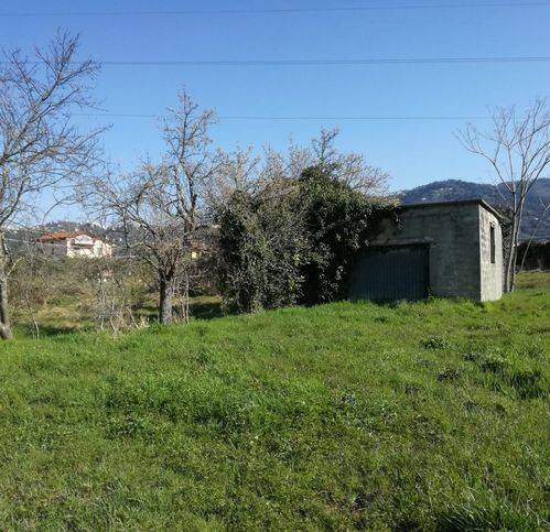 Terreno a Massarosa in Piscine - Foto 4