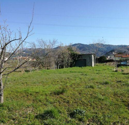 Terreno a Massarosa in Piscine - Foto 5