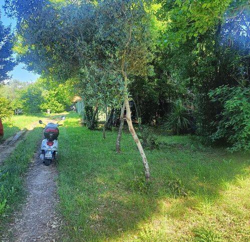 Terreno a Viareggio in Via Venezia - Foto 3