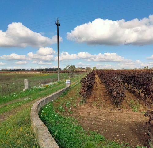 Terreno a Sava in Strada Comunale Taranto Lecce - Foto 4