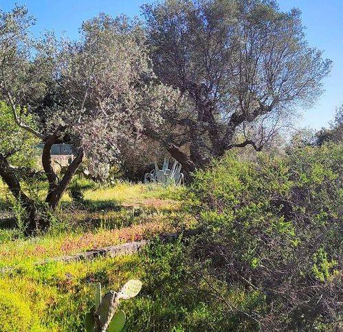 Terreno a Grottaglie in Contrada Montepizzuto - Foto 4