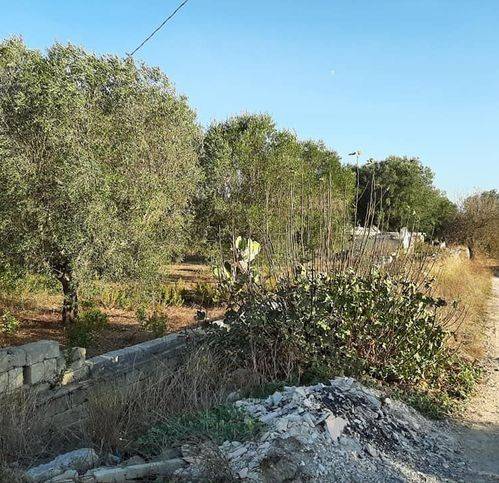 Terreno a Roccaforzata in Monteparano - Foto 4