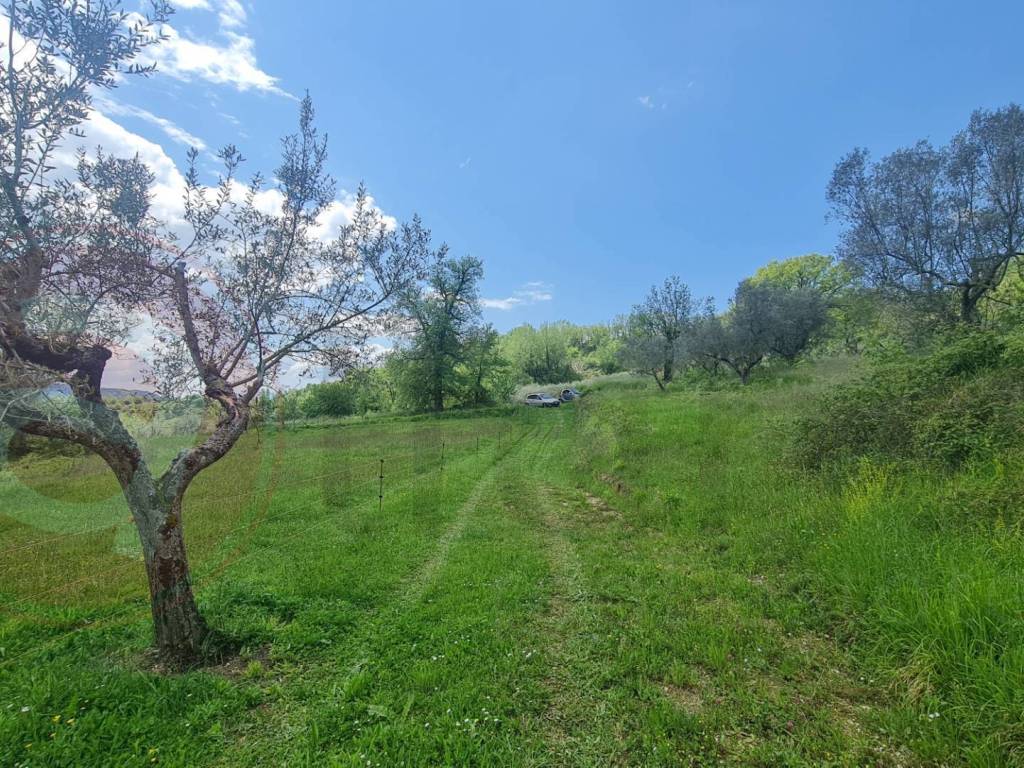 Rustico / casale a Santopadre in Via Cerreto, 38 - Foto 3