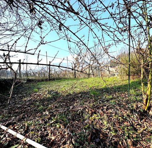 Rustico / casale a Tortona - Foto 2