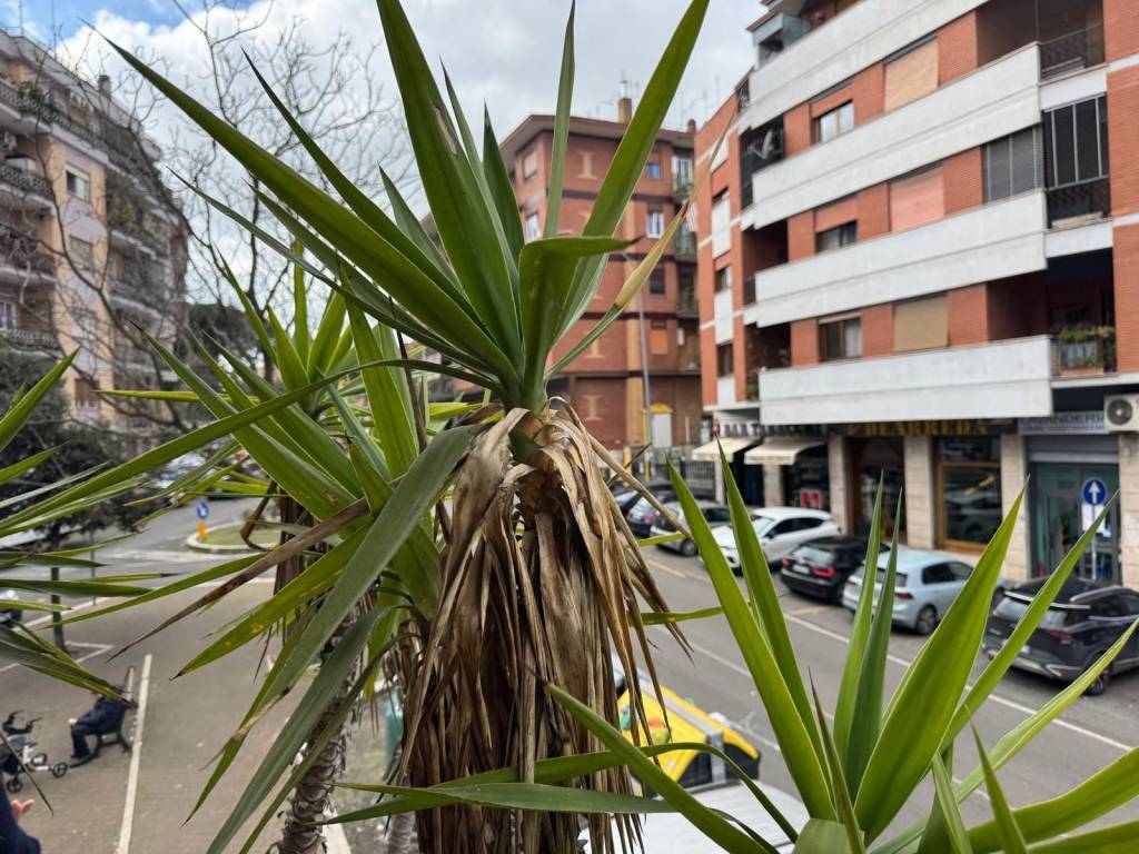 Appartamento a Roma - Foto 4
