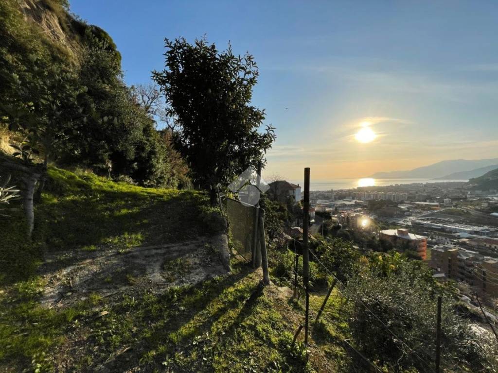 Terreno a Vallecrosia in Via Bellavista - Foto 3