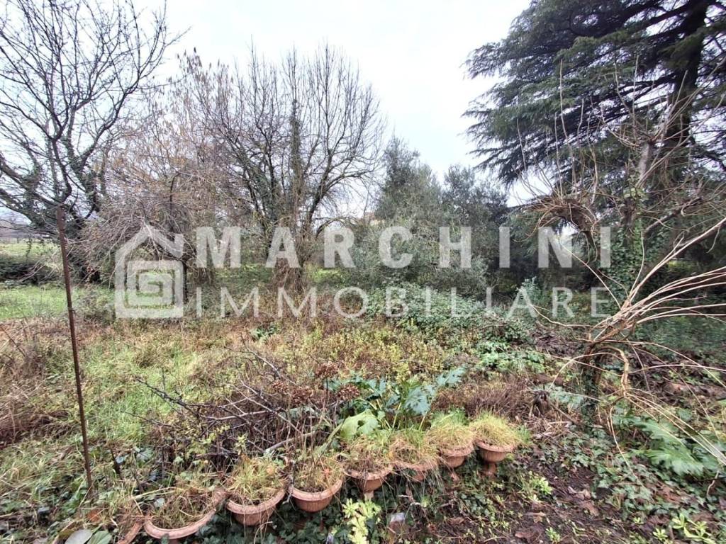 Loft / open space a Capannori - Foto 5