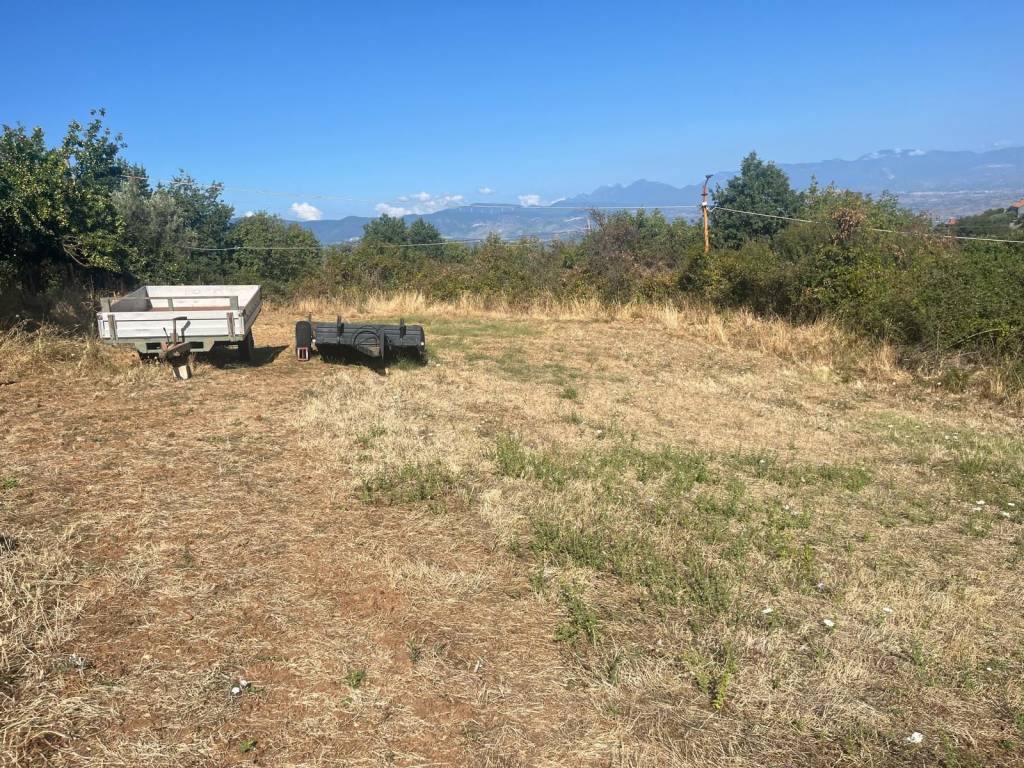 Terreno a Luzzi in Contrada Maldirima - Foto 2