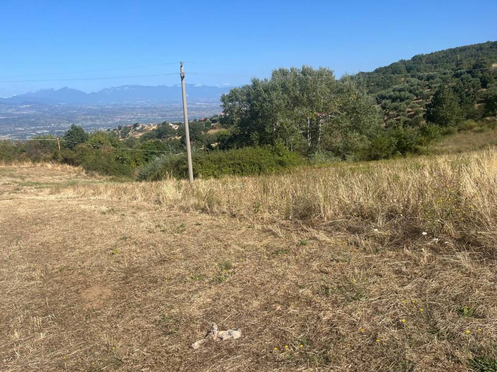 Terreno a Luzzi in Contrada Maldirima - Foto 3
