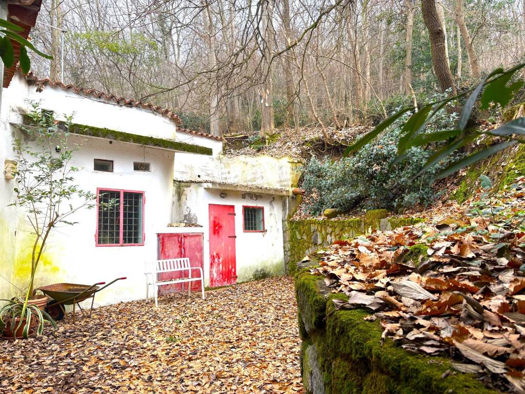 Rustico / casale a Baone in Via Ca' Orologio - Foto 2