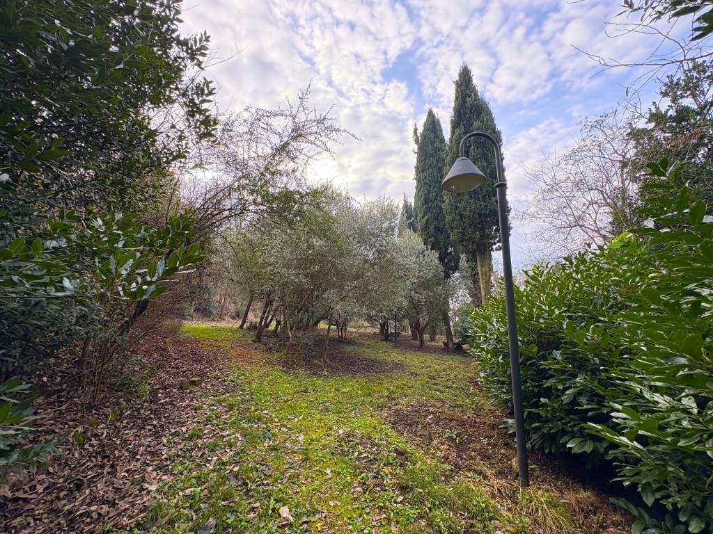 Rustico / casale a Baone in Via Ca' Orologio - Foto 4