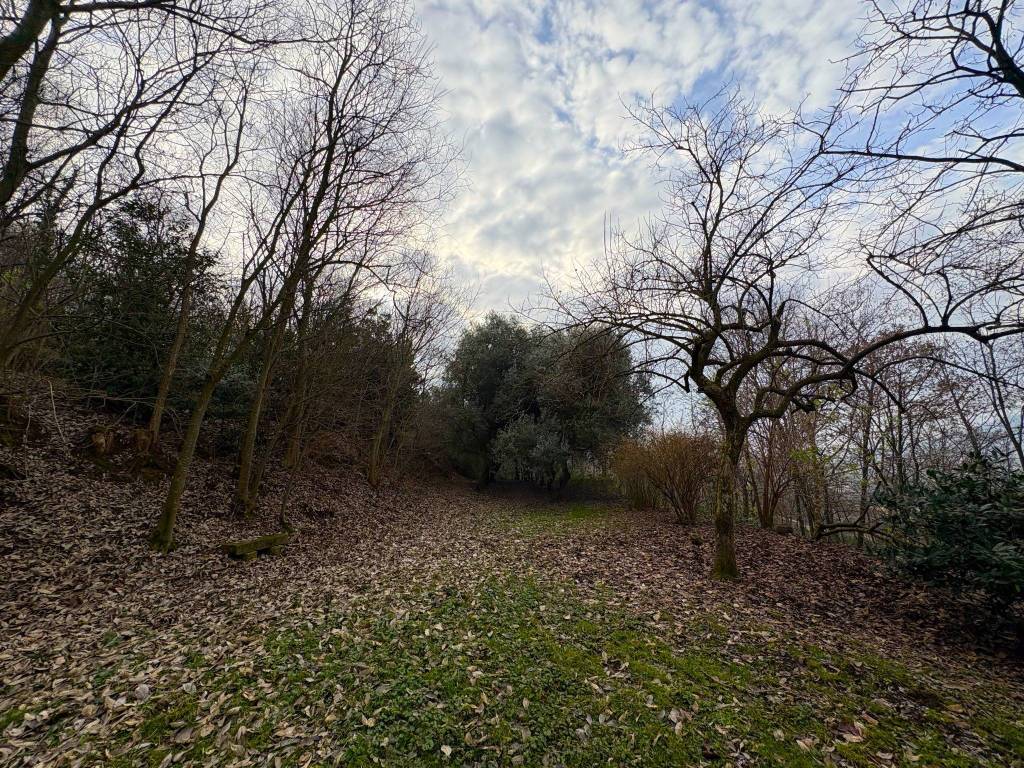 Rustico / casale a Baone in Via Ca' Orologio - Foto 5