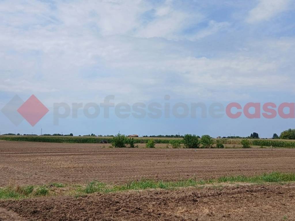 Terreno a Cologna veneta - Foto 2