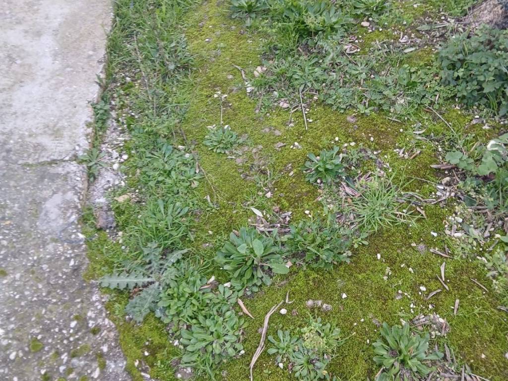 Appartamento a Jesi - Foto 5