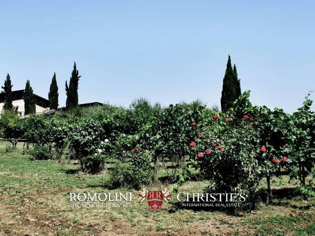 Villa a Viterbo - Foto 4