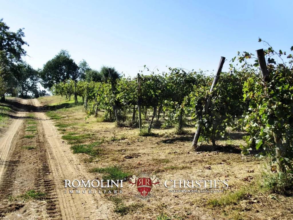 Villa a Viterbo - Foto 5