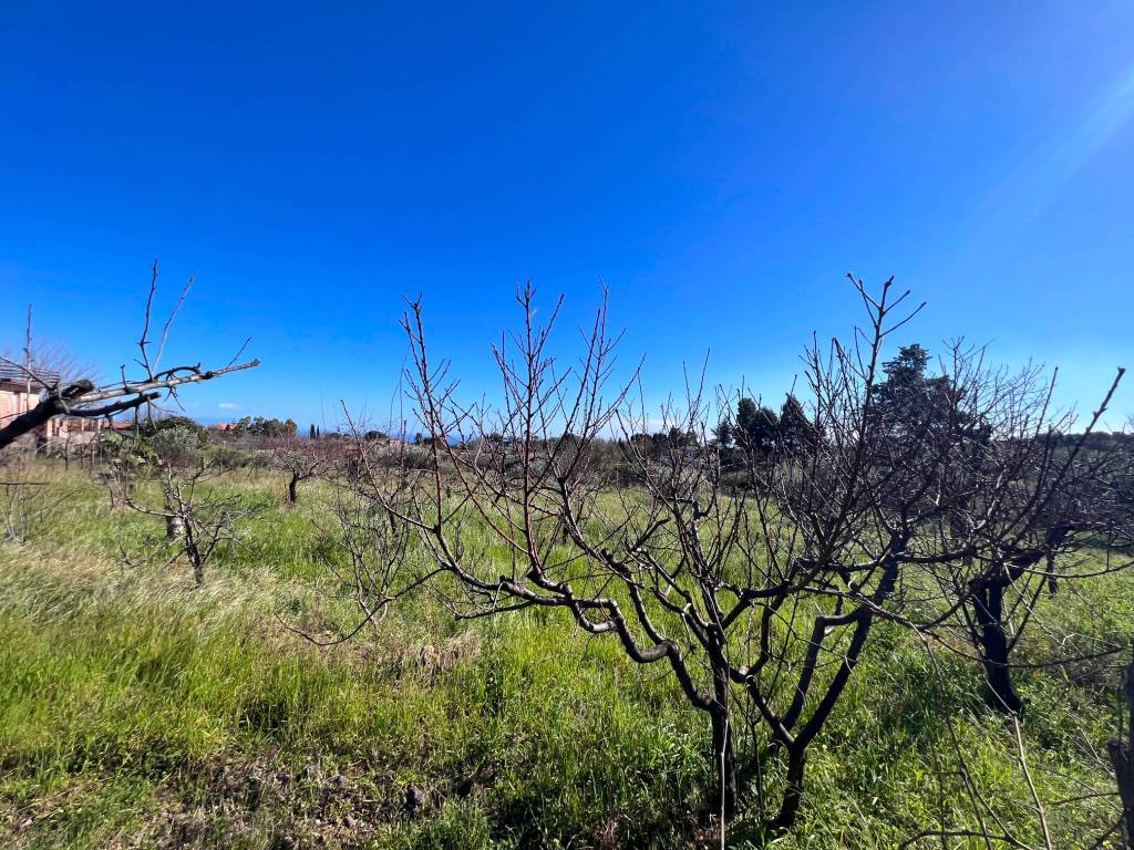 Terreno a Piedimonte etneo in SP68 - Foto 2