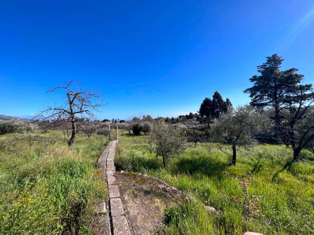 Terreno a Piedimonte etneo in SP68 - Foto 4