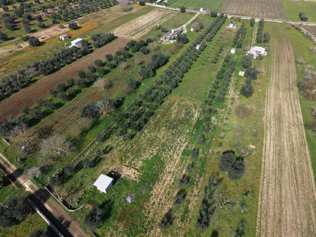 Terreno a Crispiano in Strada Vicinale Vigne Vecchie - Foto 3