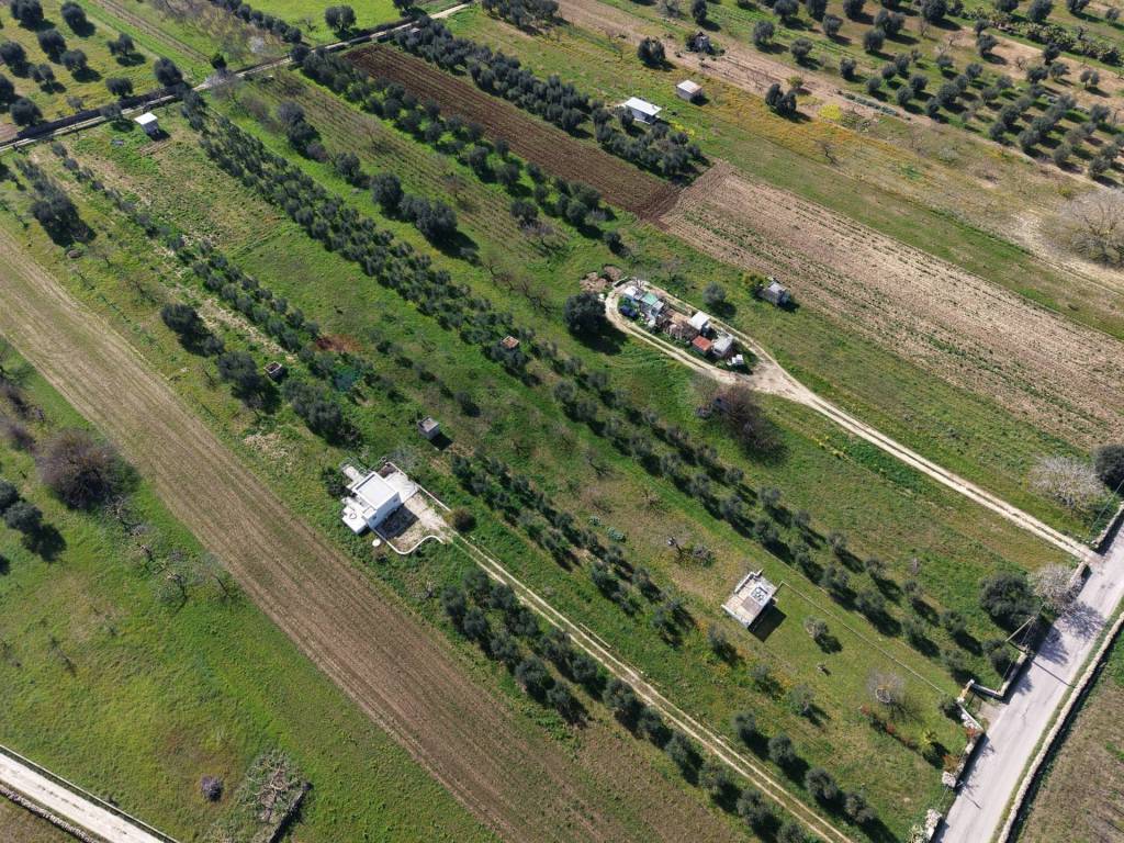 Terreno a Crispiano in Strada Vicinale Vigne Vecchie - Foto 5