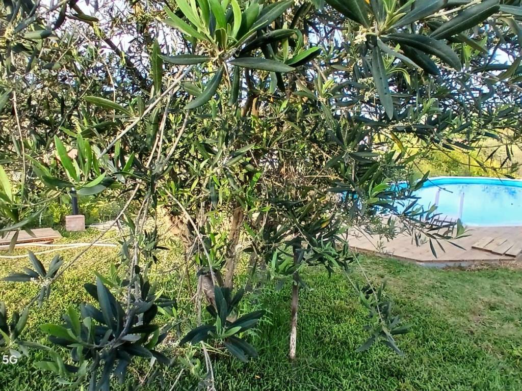 Appartamento a Castellabate in Via Santa Rosa, 10 - Foto 3