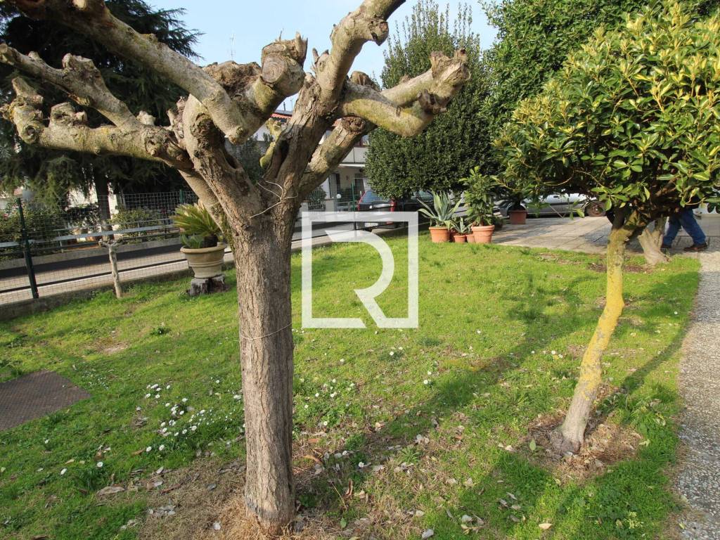 Villetta a schiera a Russi in XVII NOVEMBRE, 6 - Foto 4