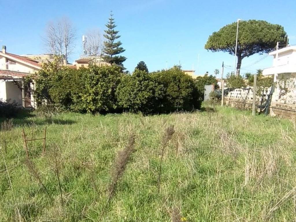 Terreno a Fiumicino - Foto 5