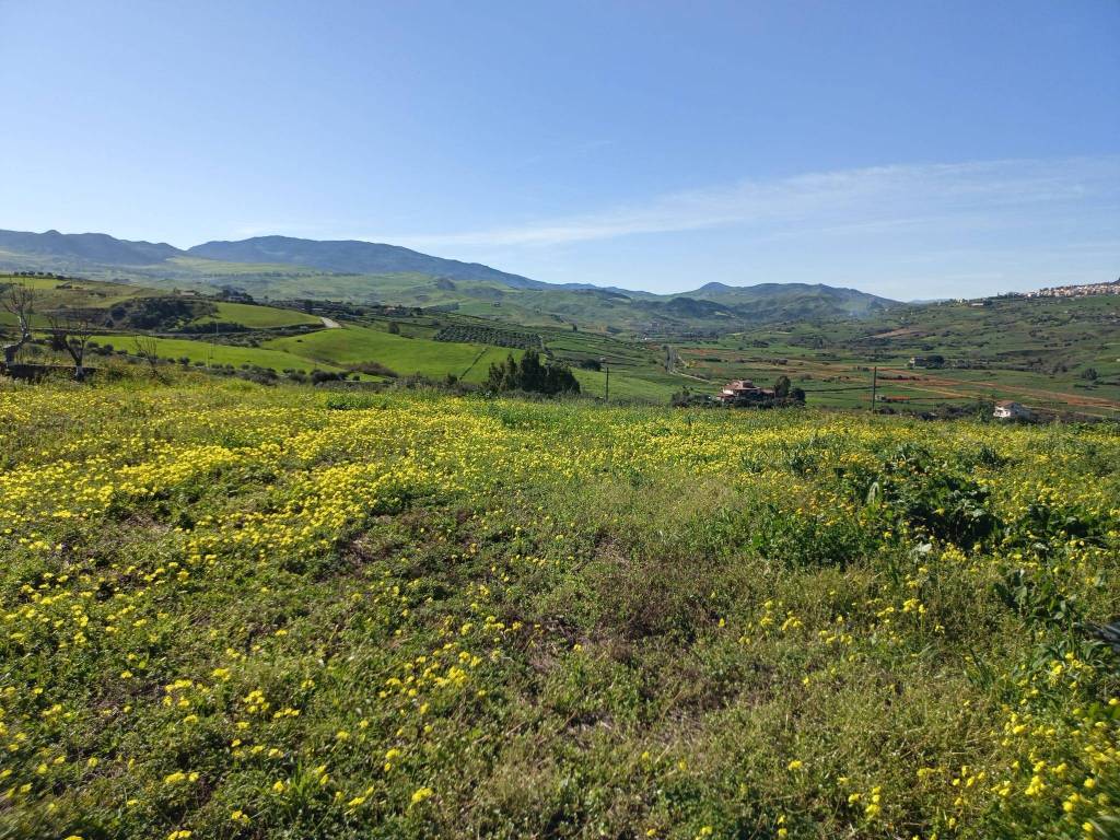 Rustico / casale a Termini imerese in Contrada Canna - Foto 4