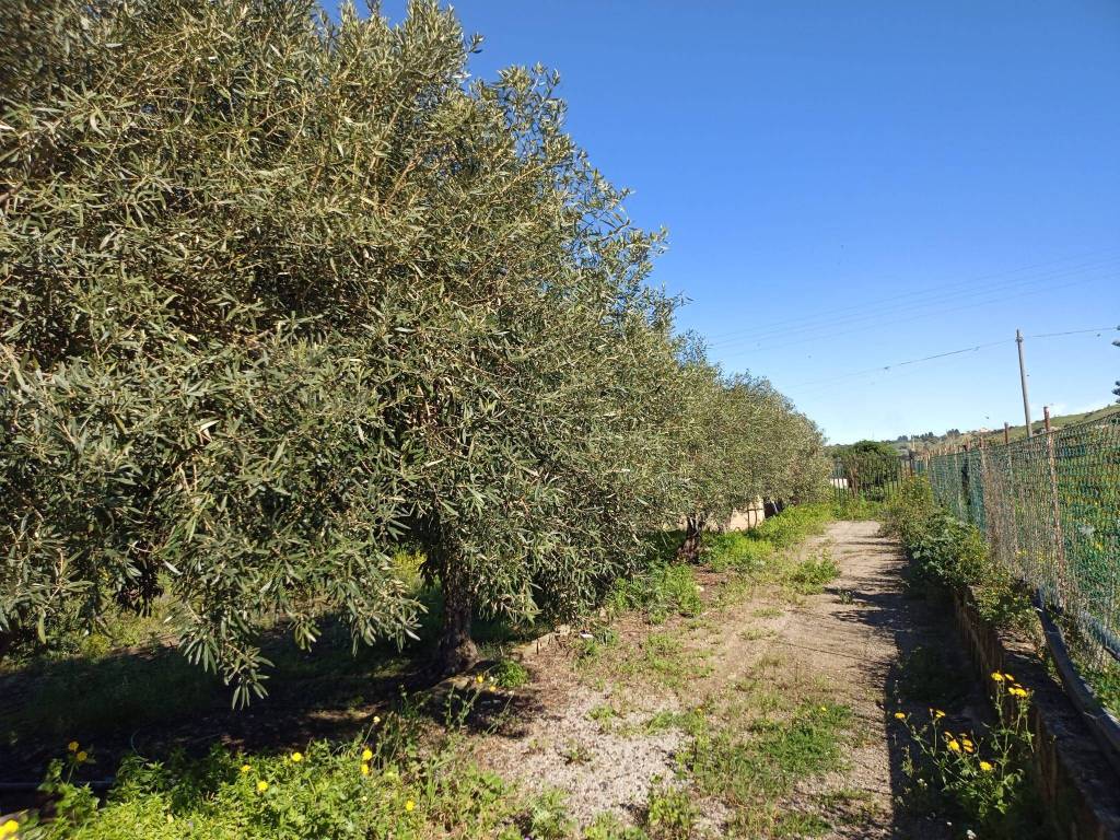 Rustico / casale a Termini imerese in Contrada Canna - Foto 5