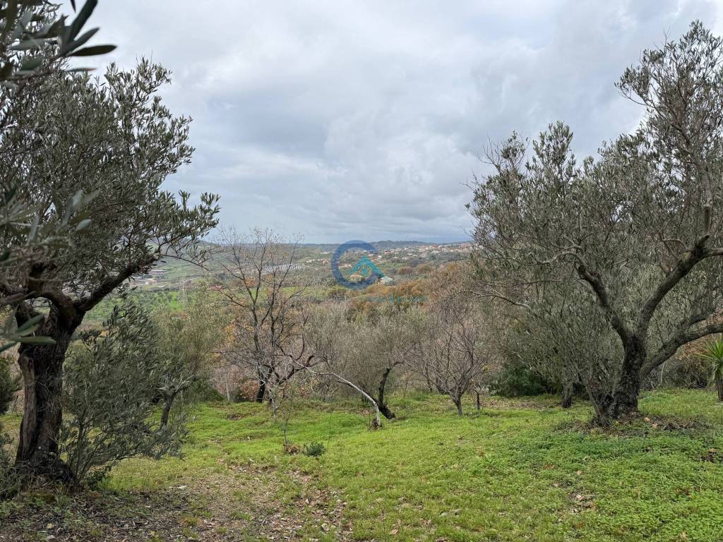 Villa a Settingiano in Via Codella - Foto 4