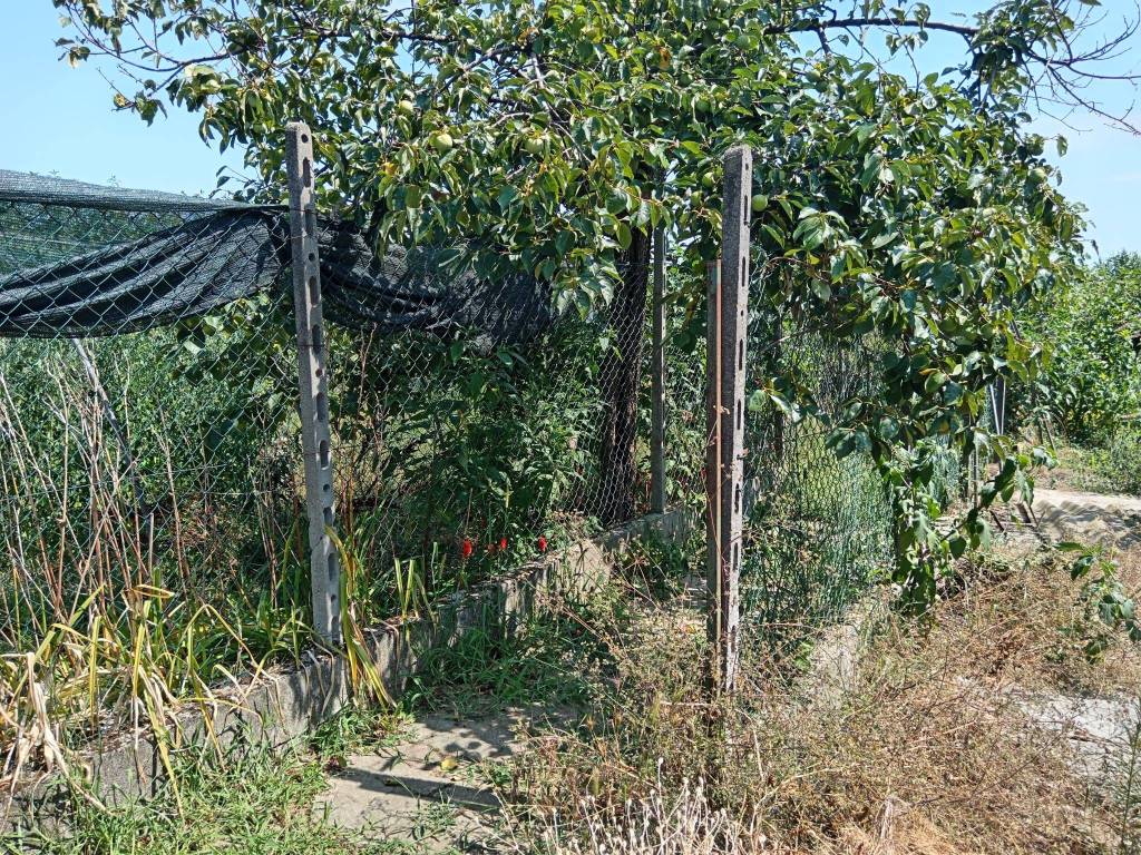 Casa indipendente a Vigone in Via Sornasca, 10 - Foto 3