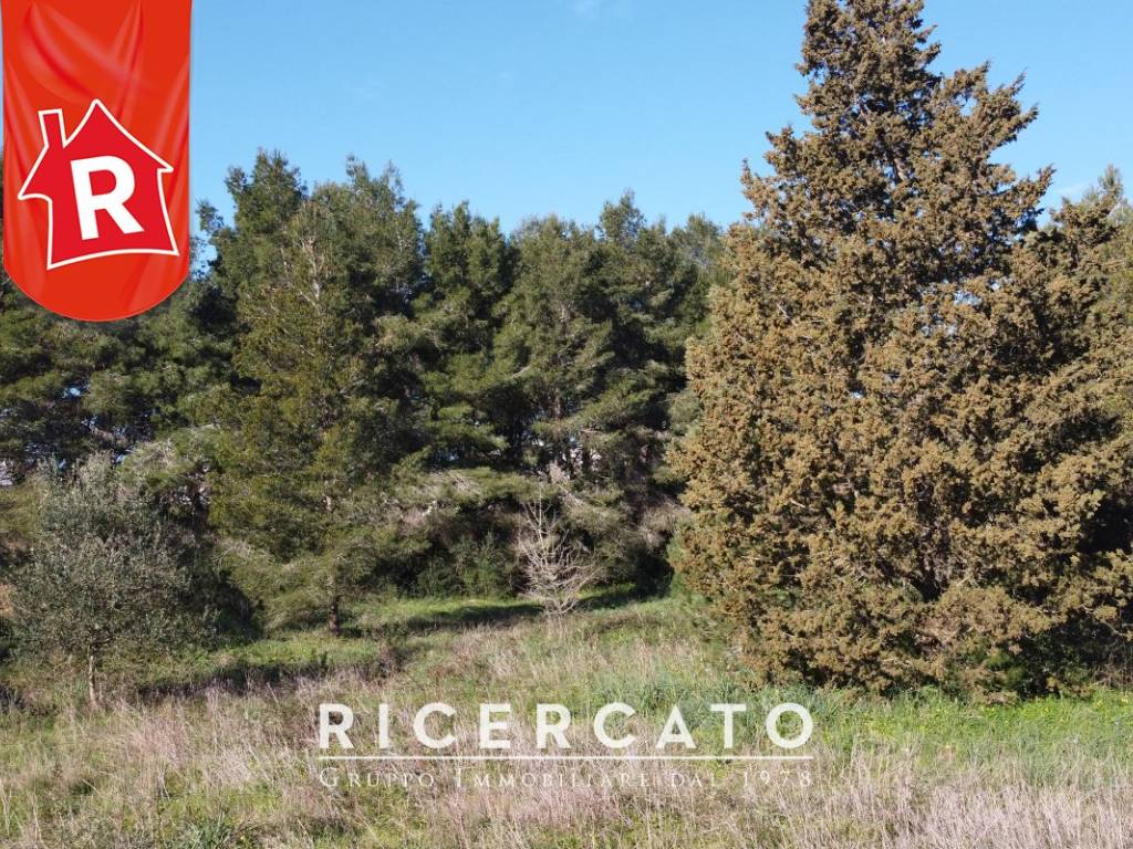 Terreno a Lecce in Via Marsala - Foto 4