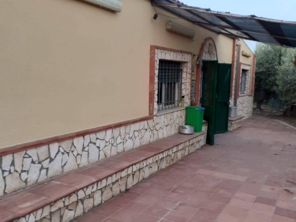 Casa indipendente a Centuripe in CONTRADA SAN BARBARO - Foto 3
