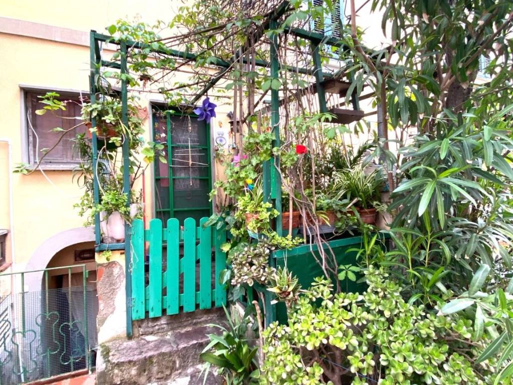 Appartamento a Capraia isola in Via Vittorio Emanuele - Foto 2
