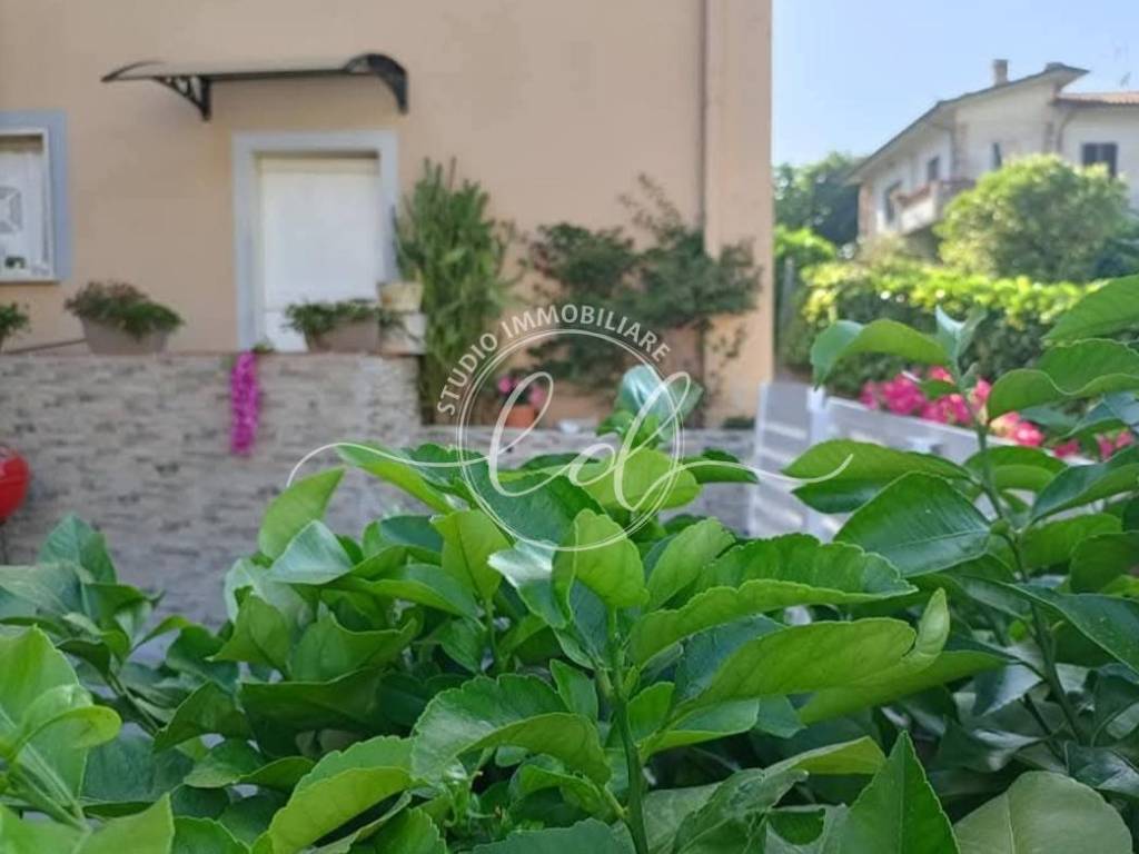 Casa indipendente a Camaiore - Foto 4