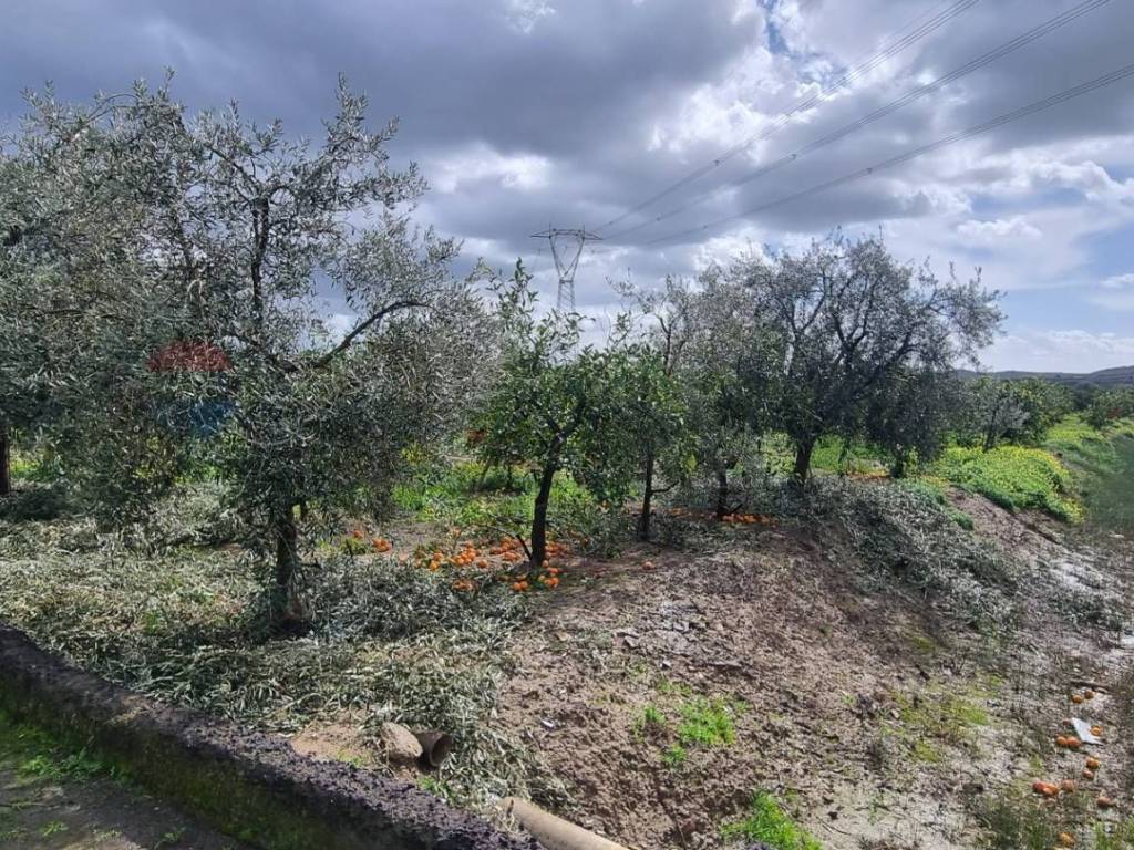 Terreno a Paternò in CONTRADA SALINELLE - Foto 3