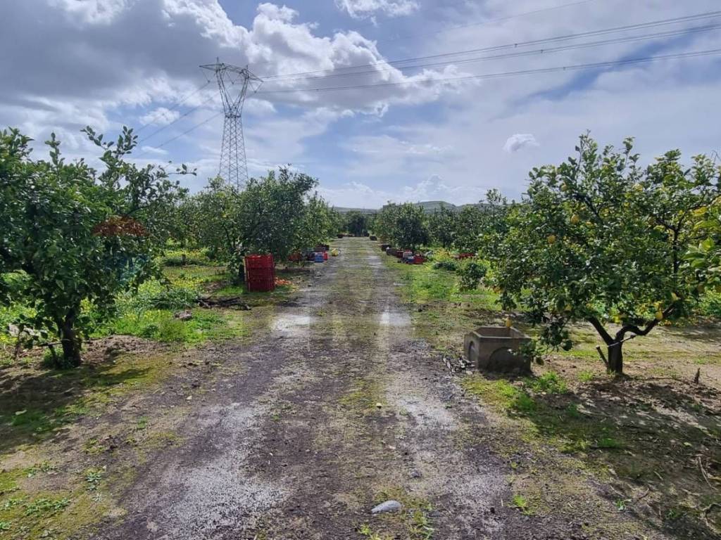 Terreno a Paternò in CONTRADA SALINELLE - Foto 4