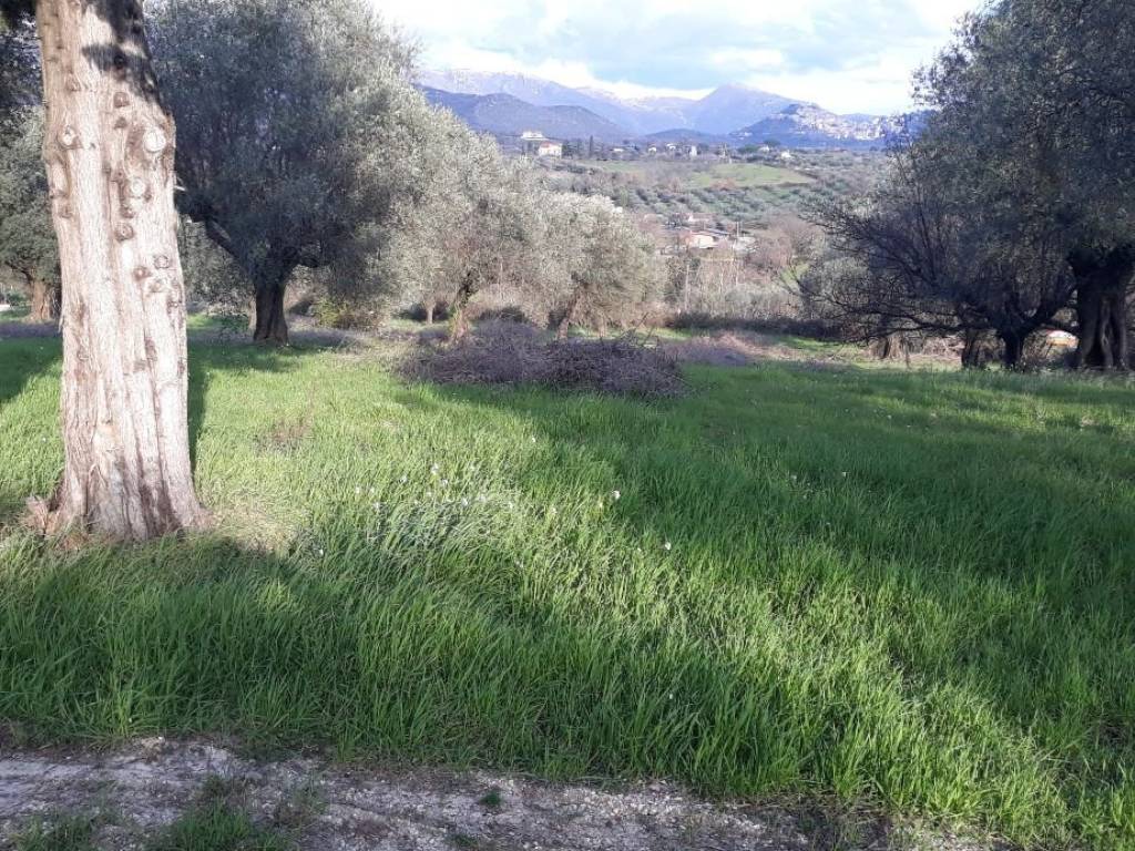 Terreno a Sant'angelo romano in Via Quarticciolo - Foto 4