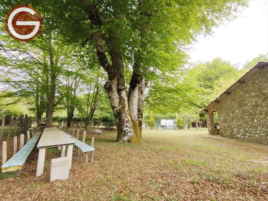 Casa indipendente a Molochio - Foto 2