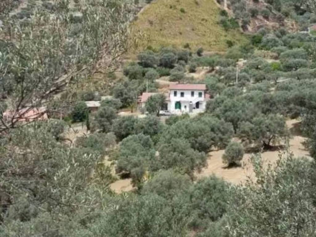 Villa a Agnana calabra in via Falcone - Foto 5