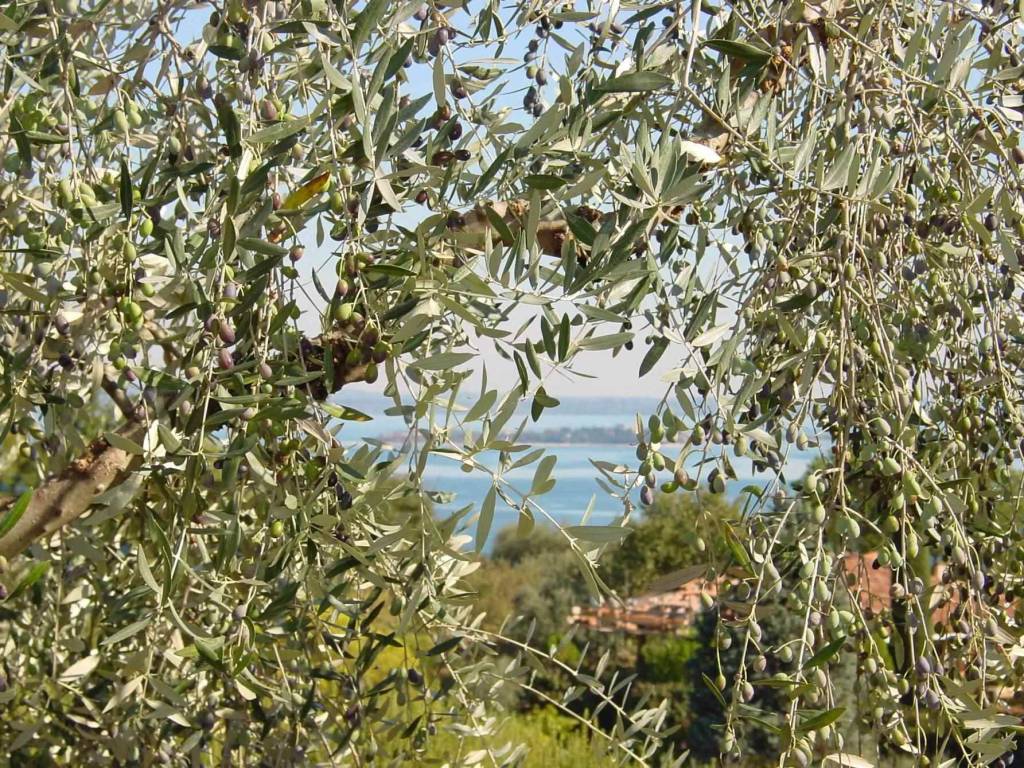 Appartamento a Soiano del lago - Foto 5