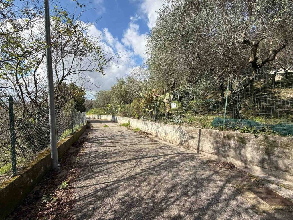 Terreno a Montecorvino pugliano in Santa Tecla - Foto 2