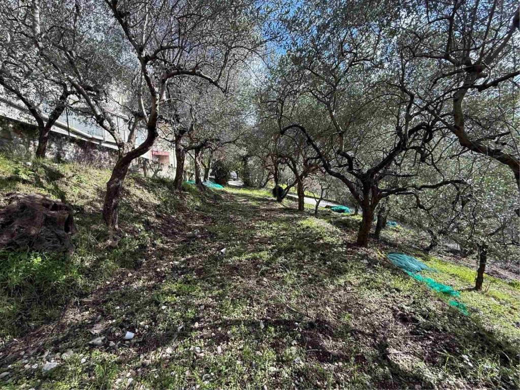 Terreno a Montecorvino pugliano in Santa Tecla - Foto 4