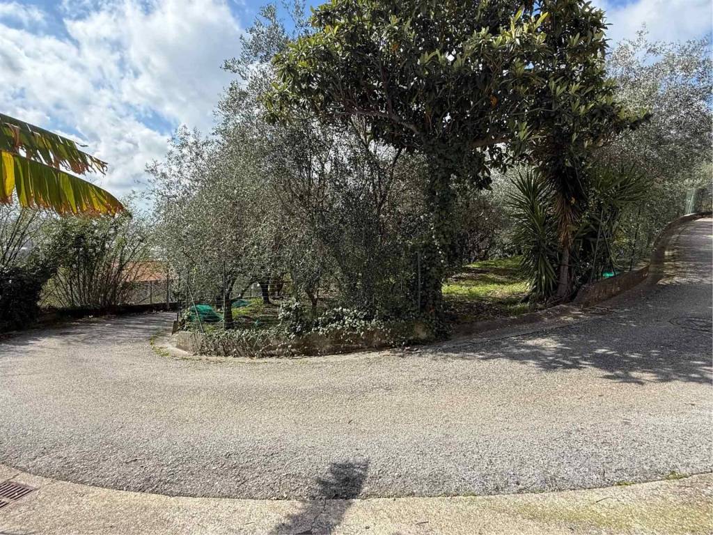 Terreno a Montecorvino pugliano in Santa Tecla - Foto 5